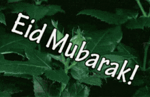 Eid Mubarak GIF - Eid Mubarak Happy GIFs