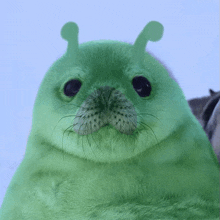 Alien Seal GIF
