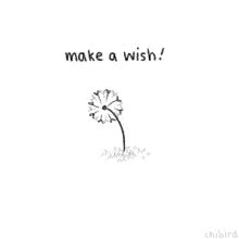 make a wish wish dandelion blow