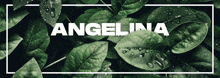 a picture of green leaves with the name angelina in white letters