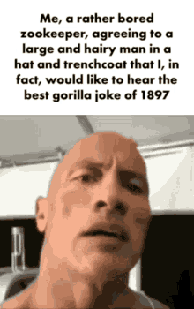 joke gorilla