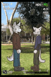 two furry cartoon characters are standing in a park with a recording time of 00:00:00