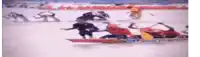 a group of people are sledding down a snowy hill