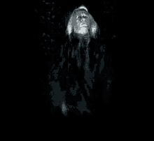 Lucius Malfoy Death Eater GIF - Lucius Malfoy Death Eater Dark Mist GIFs