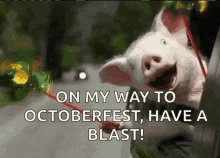 happy pig car on my way to octoberfest have a blast