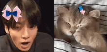 Jungkook Cat Jungkook Sleepy GIF - Jungkook Cat Jungkook Sleepy Jungkook Kitten GIFs