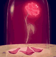 Rose GIF - Rose GIFs