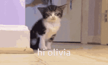 Hi Hi Olivia GIF - Hi Hi Olivia GIFs