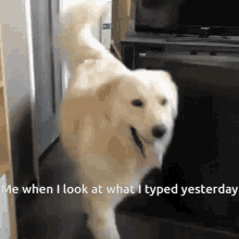 Dog Realization GIF - Dog Realization Surprised GIFs