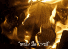 เผาหนังสือ หนังสือไหม้ ไฟไหม้ GIF - Burn Book Burning Book Fire GIFs