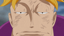 Marco Marco One Piece GIF