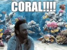 carl coral