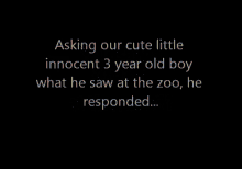 A What At The Zoo GIF - Cute Kid Happy GIFs