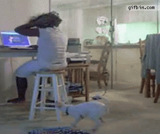 dog-pull.gif