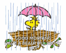 Snoopy Woodstock GIF - Snoopy Woodstock Rain GIFs