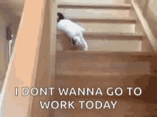 I Dont Wanna Go To Work Today I Dont Want To Go To Work Today GIF