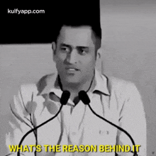 What'S The Reason Behind It.Gif GIF - What'S The Reason Behind It Dhoni Gif GIFs