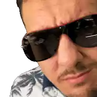 a close up of a man wearing sunglasses and a shirt with palm trees on it
