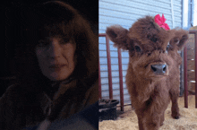 a woman with a red bow on her head is next to a small brown cow