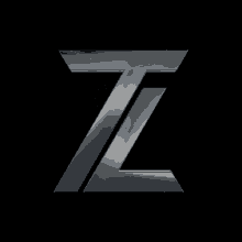 Teamtz Team Zigoto GIF - Teamtz Team Zigoto Tz GIFs