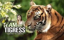 Iwellness Team Lion Myiwellness GIF - Iwellness Team Lion Myiwellness Iwellness GIFs
