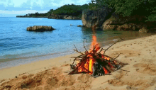 Bonfire Beach GIF - Bonfire Beach Flame GIFs