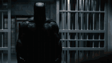 Batman Batman V Superman GIF