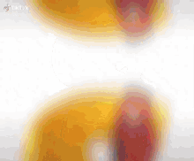 a close up of a yellow and red object on a white background