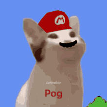 Pog Popcat GIF - Pog Popcat Poggers GIFs