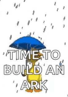 rain duck build an ark