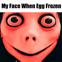 Egg Frozen GIF - Egg Frozen Momo GIFs