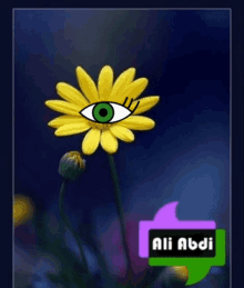Flower Eye GIF - Flower Eye GIFs