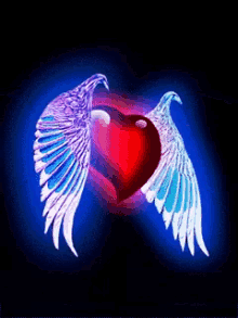 Love Heart GIF - Love Heart Fly GIFs