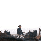 a man riding a horse in a field with the words built for builder behind him