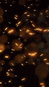 a person playing a guitar in a dark room with sparks flying around