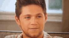 Niall Horan One Direction GIF - Niall Horan One Direction 1d GIFs