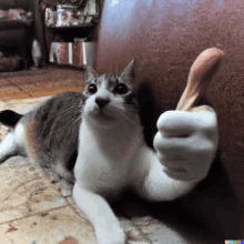 Cat Thumbs Up GIF - Cat Thumbs Up Static GIFs