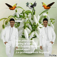 a man in a white suit stands in front of snowdrop flowers