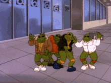 teenage mutant ninja turtles hip