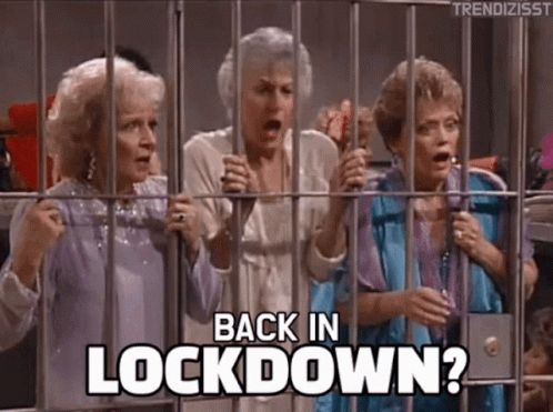 lockdown gif
