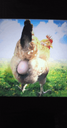 Chicken Giving Birth GIF - Chicken Giving Birth GIFs