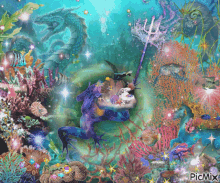 wizard wizard frog magic underwater coral reef