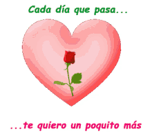 i love you rose flower heart love