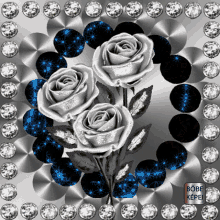 r%C3%B3zsa rose roses sparkle circle