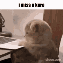 Kuro GIF - Kuro GIFs
