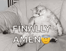 lazy fat cat finally amen
