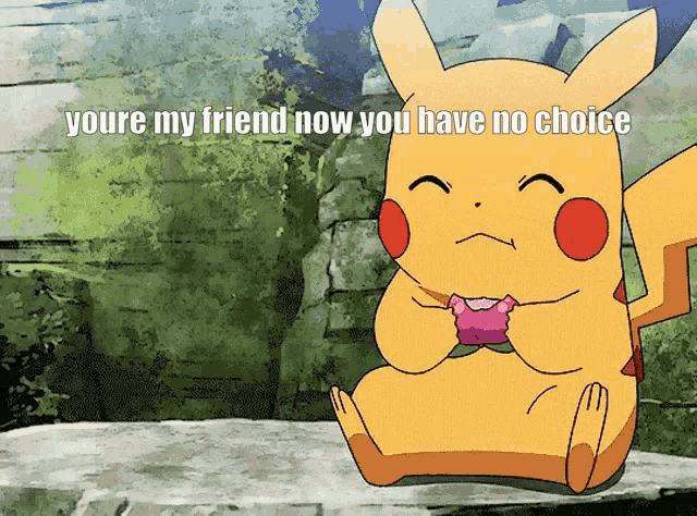 Pikachu Pokemon GIF – Pikachu Pokemon Youre My Friend Now – Откриване и ...