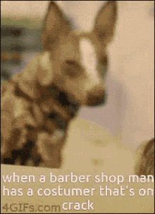 Crazy Barber Shop Man GIF - Crazy Barber Shop Man Thats Crack GIFs