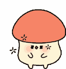 shroom shroom