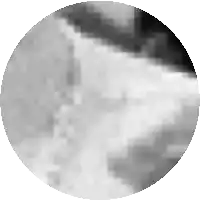 a black and white pixelated image of a circle